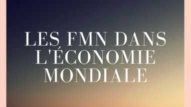 les FMN dans l'économie mondiale