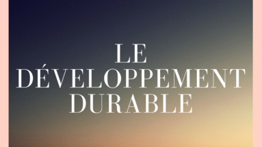 le développement durable