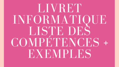 livret informatique et exemples de compétences